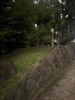 今月のイベント