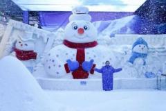 真夏に氷や雪を楽しめるハルビン太陽島氷雪芸術館がオープン―中国