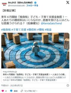 こども家庭庁「少子化対策のため」来年4月から「独身税」を開始 年収400万円の人なら年7800円支払いのイメージ画像