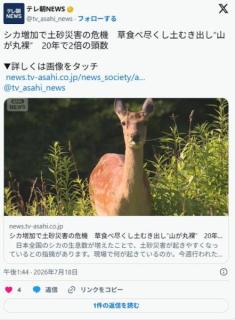 本当に恐ろしい野生動物はシカか 草木を食べ尽くし山を丸裸にして土砂災害を引き起こすのイメージ画像