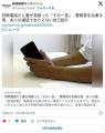 【大阪県警】詐欺電話だと妻が見破った「その一言」…警察官を名乗る男、夫への通話でありえない自己紹介