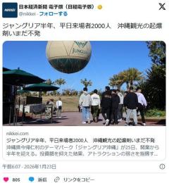 ジャングリア沖縄、ついに平日来場者が2000人にまで落ち込んでしまうのイメージ画像