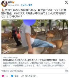【社会】奈良公園の鹿が蹴られる動画が拡散警察「天然記念物を傷つけた場合、法律により罰せられることがあります」のイメージ画像