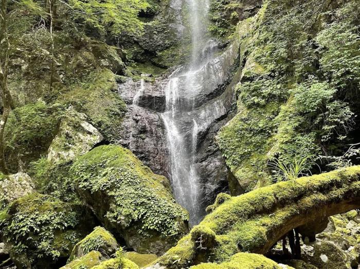 宝殿のたきのイメージ画像