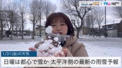 日曜は都心で雪か 最新の雨雪予想のイメージ画像