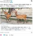 日本人、「中国人が鹿を蹴った」との偽情報を拡散しヘイト行為→中国SNSで拡散。中国人激怒へ