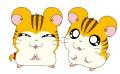 「とっとこハム太郎」本日トラハムく..