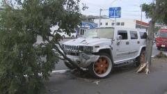 札幌市白石区でRV車が急発進 街路樹に衝突 運転の男を現行犯逮捕 容疑者から酒の臭い 飲酒検査を拒否