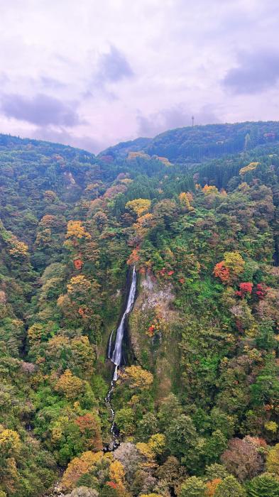 九重夢大吊からの紅葉のイメージ画像