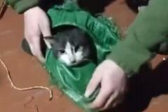 ウクライナ兵がドローンを使い、最前線から犬と猫を避難させるのイメージ画像