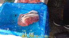 きまぐれクックが市場で珍しい魚介を発見！お刺身と煮付けで至福の時間に？のイメージ画像