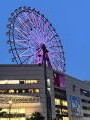 夜の中央駅