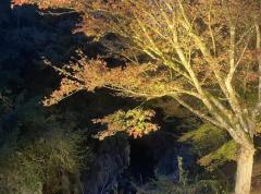 長田峡ダイナミック紅葉のイメージ画像