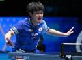 張本智和が日本勢トップの4位をキープ..