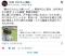妻からカメムシ臭いって…」男性中心に悩み…30代半ばから発生“ミドル脂臭"原因は頭皮？