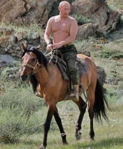 撮影時に「裸で乗馬しようか？」 G7首脳、プーチン氏をやゆのイメージ画像