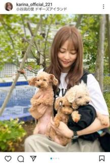 香里奈、愛犬3匹を優しく抱っこする姿に｢確実に世界一可愛い｣｢参りました｣のイメージ画像