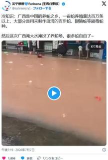 中国大洪水により大量の毒蛇が逃げ出した模様🐍🐍のイメージ画像