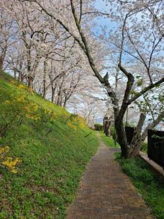 半田山植物園のイメージ画像