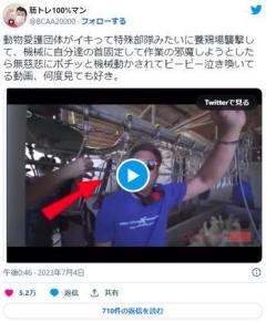 【ワロタｗ】 ヴィーガンさん、アヒルのとさつ場を襲撃 → 代わりに私達を殺せと首輪を自分にはめる →