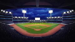 プロ野球セリーグとパリーグの2つのリーグがある理由は？