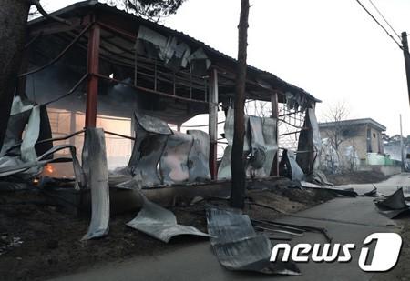 江原道山火事で1人死亡し、250ヘクタールが消失 韓国
