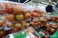 韓国でトマトキバガ発見、日本へのトマト輸出は継続…管理策を日本と協議のイメージ画像