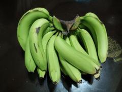【フィリピン】バナナ出荷工場訪問ーミンダナオ島オサミス発信