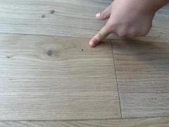 あいのり・桃、新居に”大量のアリ”出現で大混乱のイメージ画像