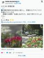 倒産手続き中の会社に侵入し、花壇からアマリリス1本盗もうとしたか逮捕の50歳男「友達にあげたり、自分で育てたりしようと」