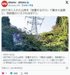0円で山林を入手、放置するだけで収入に不動産投資家「寝ていても電柱が稼ぐ」