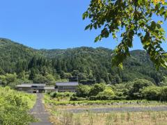 のどかな夏の和良町の風景