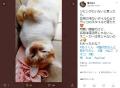 愛猫が玄関でスヤスヤ……悟る飼い主..