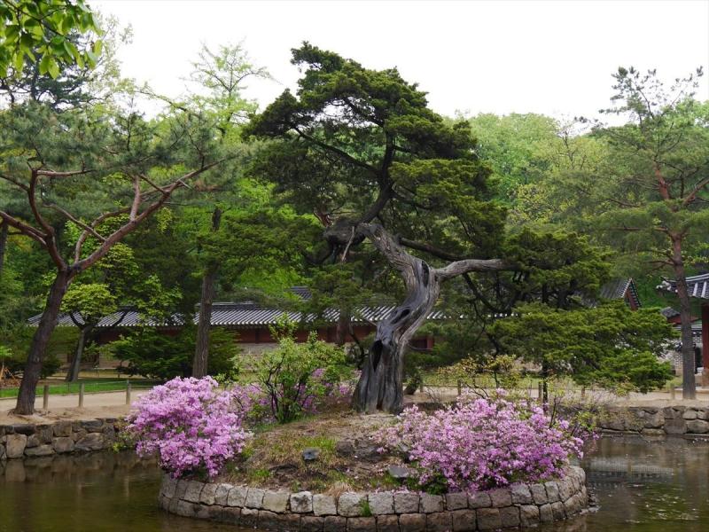 朝鮮学校って、なに？ 『無償化除外は、日本国として当然ではないのか』