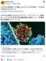 中国の研究チームが太平洋の深海底で1万種以上のウイルスを発見。99%が未知のもの