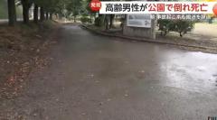 74歳男性が公園で死亡…朝に衝突事故起こすも救急搬送を辞退 頭の骨折るケガも 埼玉・本庄市のイメージ画像