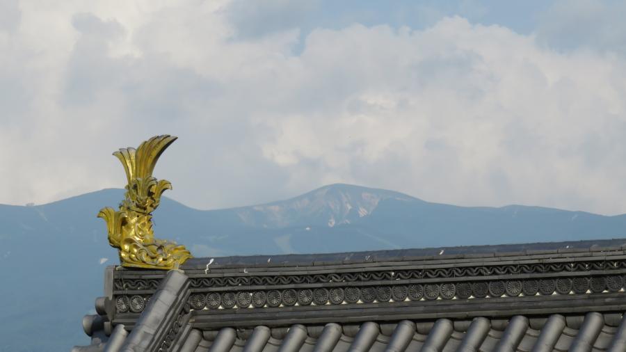 鯱と蔵王のイメージ画像
