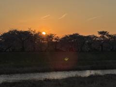 綺麗な夕日のイメージ画像