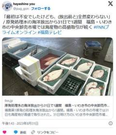 【朗報】海産物取引、ノーダメージ「放出前と全然変わらない」のイメージ画像