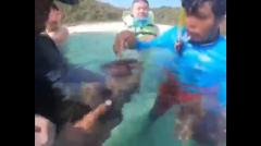 ｲｿｷﾞﾝﾁｬｸを手に取りｸﾏﾉﾐを捕まえたﾀｲ人ｶﾞｲﾄﾞに禁錮、罰金!?