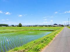 上三川町の田園風景のイメージ画像