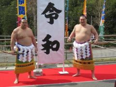 大相撲秋場所、37年ぶり複数横綱不在も…白鵬、鶴竜ともに相撲取れる段階まで回復せず