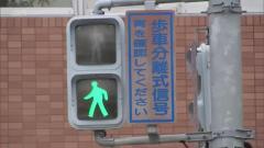 「歩行者の方やろ、違うと？」歩車分離式信号機 自転車は車道と歩道、どちらの信号に従うべき？認識が分かれる意外な交通ルールのイメージ画像