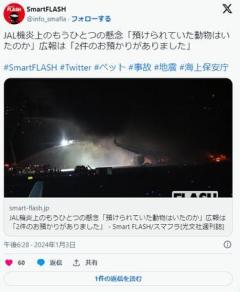 【羽田事故】JAL機炎上「預けられていた動物はいたのか」…広報「2件のお預かりがありました。お悔やみを申し上げます」のイメージ画像
