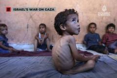 ガザ地区で11人が餓死、イスラエル軍の攻撃により47人が死亡