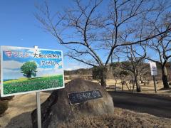 立輪水辺公園のイメージ画像