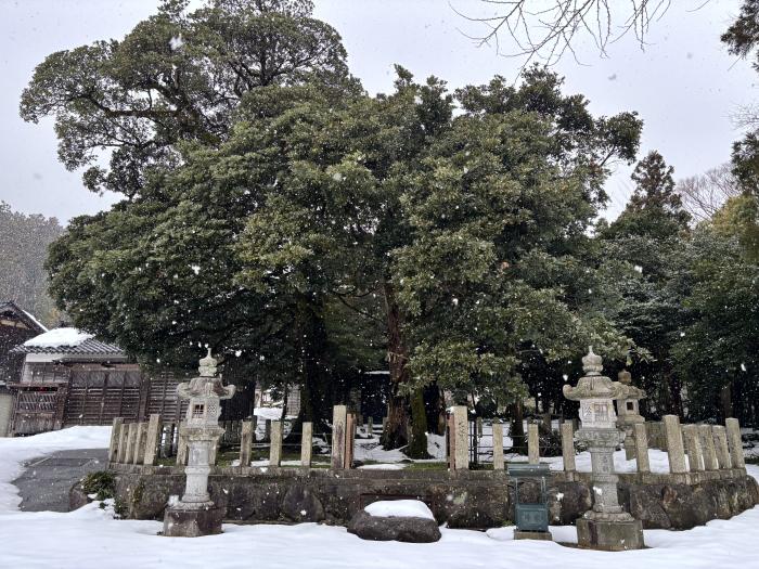 雪降る鎌宮諏訪神社のイメージ画像