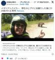 ヒグマと一緒に満面の笑みで自撮り※この後スタッフが美味しく食べました