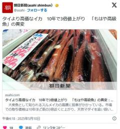 【くコ:彡】タイより高価なイカ10年で3倍値上がり1キロ483円→1417円「もはや高級魚」の異変のイメージ画像