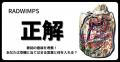 RADWIMPS「正解」歌詞の意味を考察！あ..